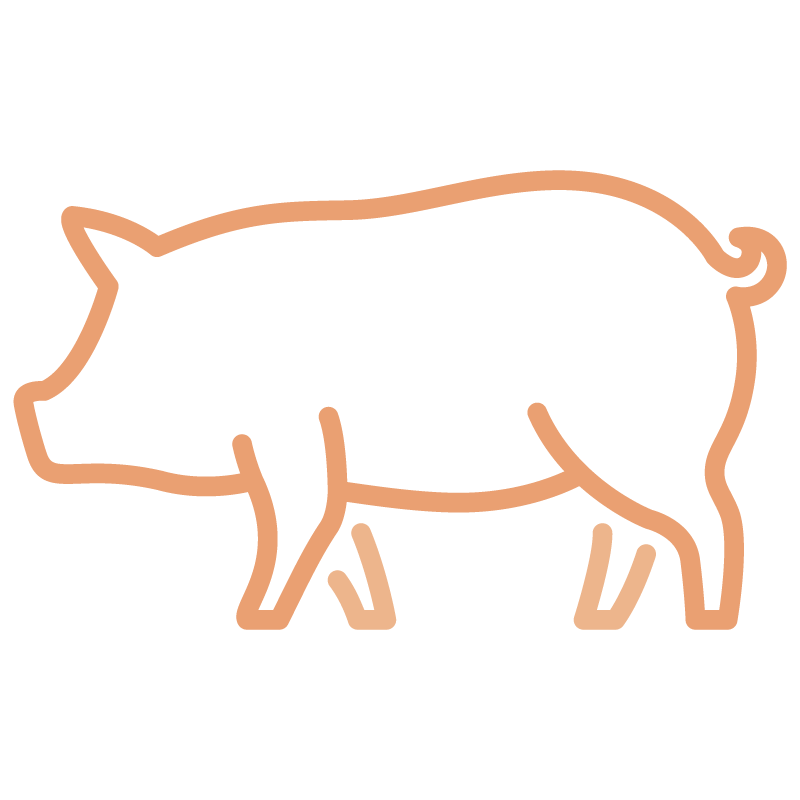 採用台灣新鮮溫體豬